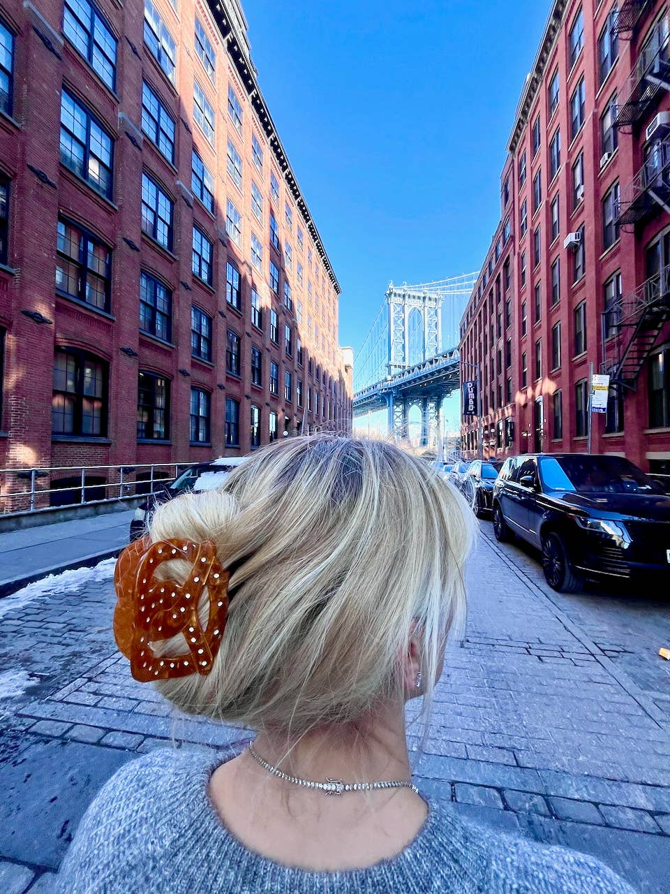 Pretzel - Solar Eclipse - Hand-painted Hair Claw Clip | Eco-Friendly