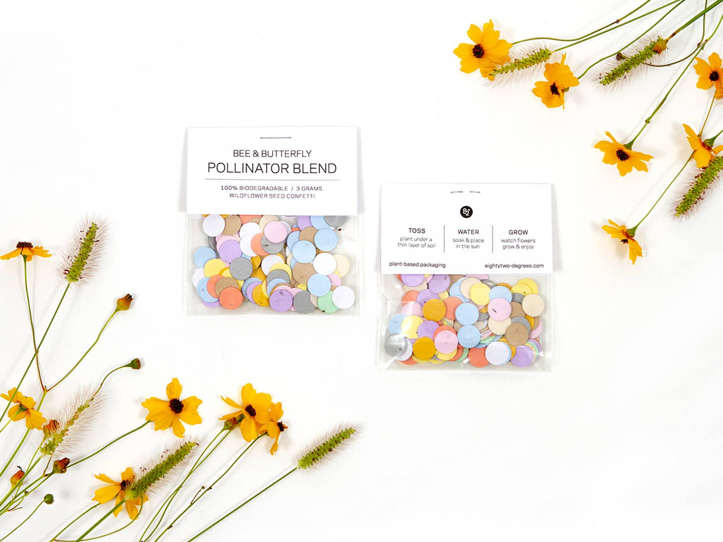 Wildflower Seed Confetti - Rainbow Studio 82°
