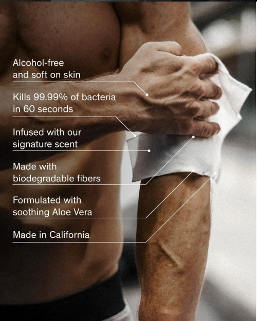 ANTIBACTERIAL BODY WIPES (10CT) Bravo Sierra