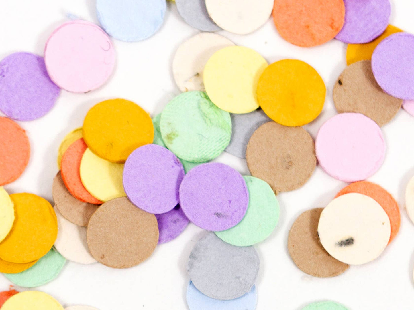 Wildflower Seed Confetti - Rainbow Studio 82°