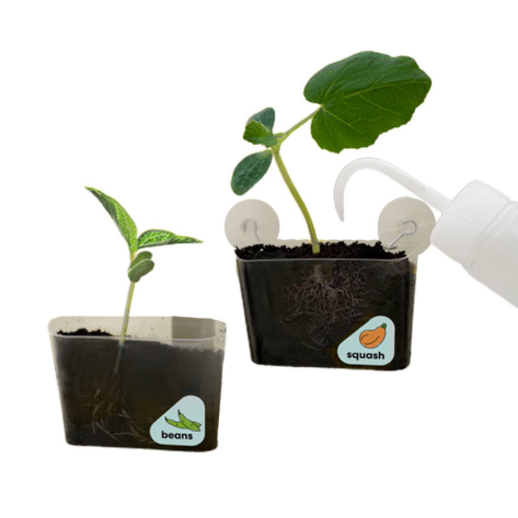 Window Garden DIY Growing Plant Kit for Kids - KiwiCo