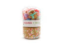 Gingerbread Grab & Go Jar - Young Wild & Friedman
